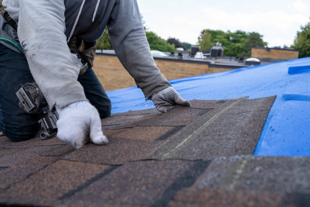 Best Sheet Metal Roofing  in Montague, CA